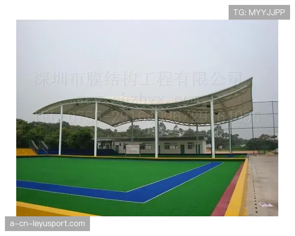 球场临时看台抗震与风荷载检测合格证样表
